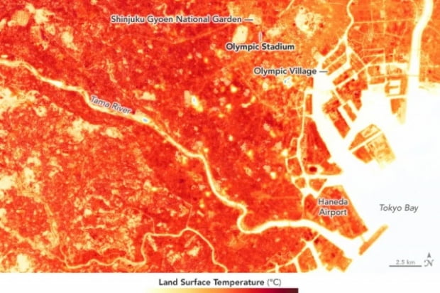 도쿄 시내에서 강줄기 등 일부 지역이 30도 내외의 노란 빛을 띄고 그 외 지역은 30도가 넘어 붉은 빛을 띄고 있다. 사진=NASA 지구천문대 갈무리