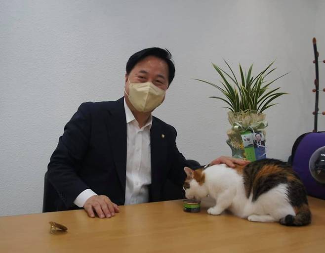 고양이에게 간식 주는 김두관 후보  [김 후보 페이스북 캡처. 재판매 및 DB 금지]