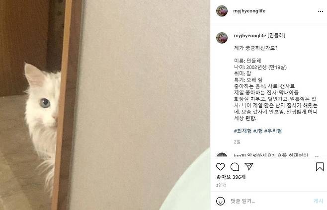 최재형 전 감사원장의 장녀가 운영하는 고양이 인스타그램 계정 [인스타그램 캡처. 재판매 및 DB 금지]