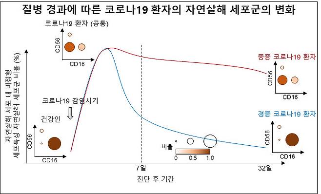 질병 경과에 따른 코로나19 환자 자연살해세포군 변화