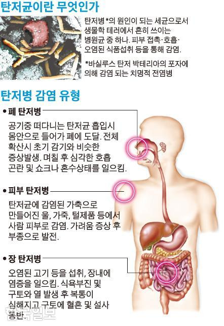 그래픽=송정근 기자