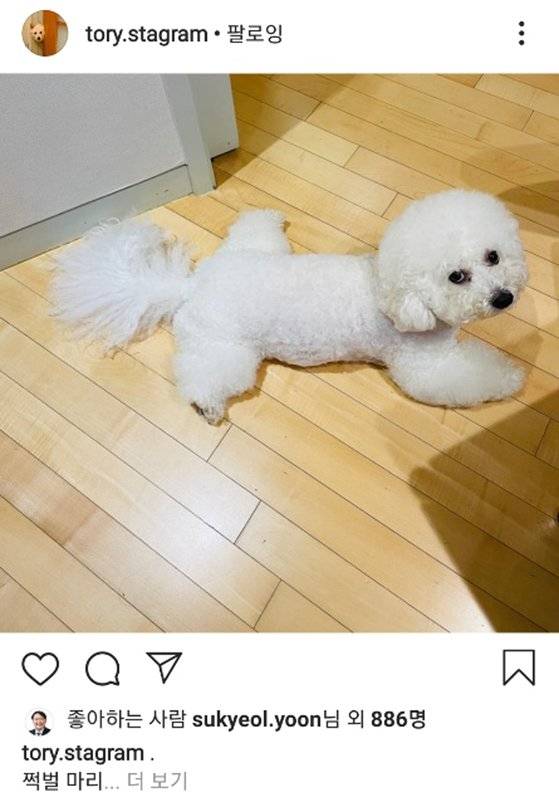 윤석열 전 검찰총장이 4일 양 뒷다리를 활짝 벌린 채 배를 깔고 엎드린 반려견 '마리'의 사진을 인스타그램에 게시하며, 자신의 '쩍벌' 논란을 언급했다.     윤 전 총장 측은 이날 '토리스타그램'에 마리 사진을 올리고, "마리는 180도까지 가능해요"라며 "아빠랑 마리랑 같이 매일 나아지는 모습 기대해주세요. 매일 0.1㎝씩 줄여나가기"라고 적었다. 연합뉴스