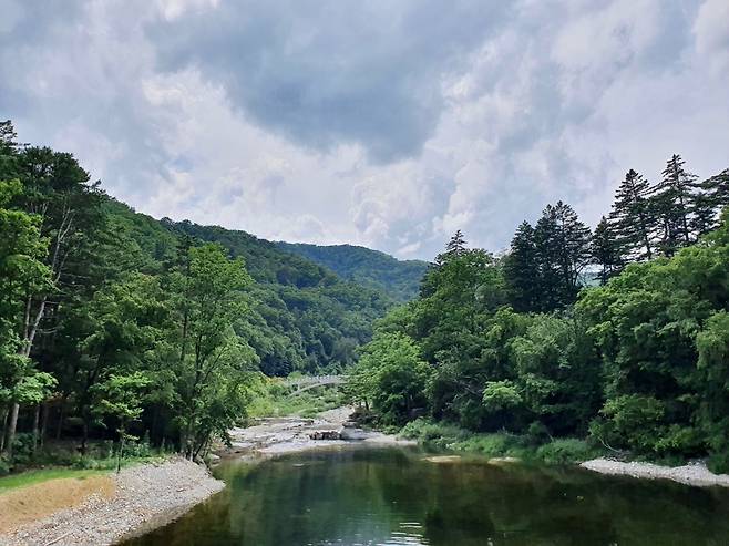 Mountain stream of Sogeum River nearby Weoljeongsa (Im Eun-byel / The Korea Herald)