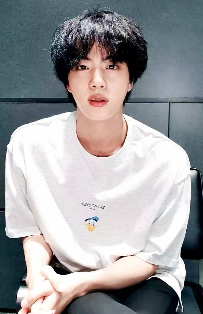 방탄소년단 진(BTS JIN)