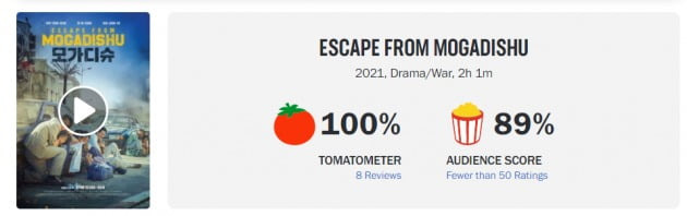 영화 '모가디슈'가 월드와이드 박스오피스 5위, 로튼토마토 신선도 지수 100%를 기록했다. / 사진=스크린데일리, 로튼토마토