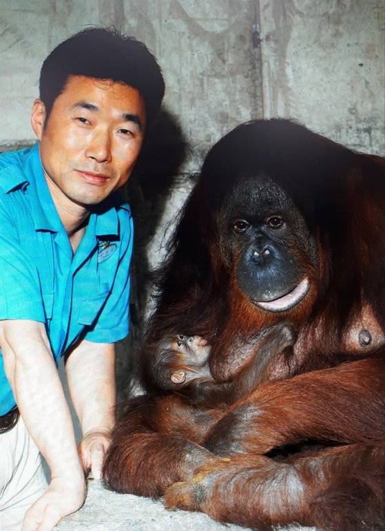몽키월드에서 원류를 당담하던 시절의 강철원 사육사. 에버랜드