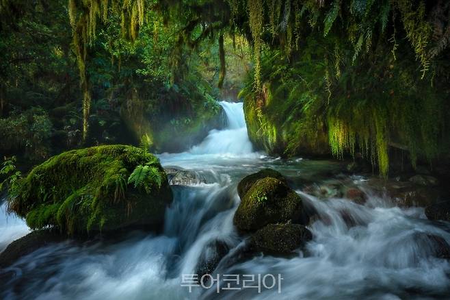 홀리포드 계곡(Hollyford Valley) 폭포 ⓒWilliam Patino
