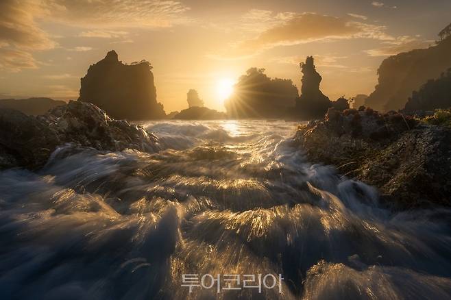 피오르드랜드(Fiordland)의 해안가 풍경 ⓒWilliam Patino