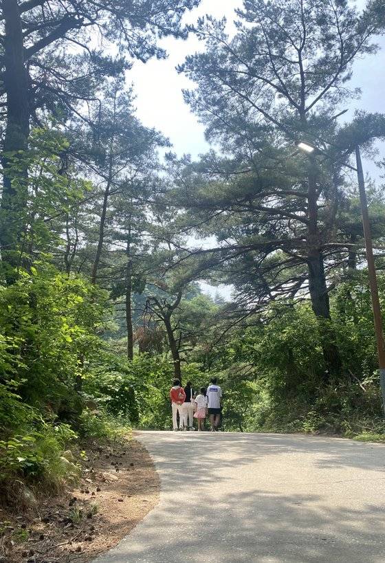 지난 6월 9일 대관령 옛길에서 유모차를 끌고 길을 걷는 가족. 김홍준 기자