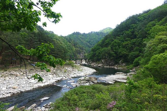 산과 산 사이, 강을 건너 철길이 이어진다.