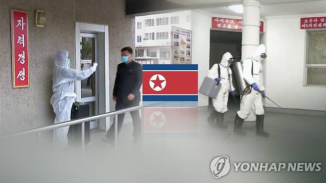 (CG) [연합뉴스TV 제공]