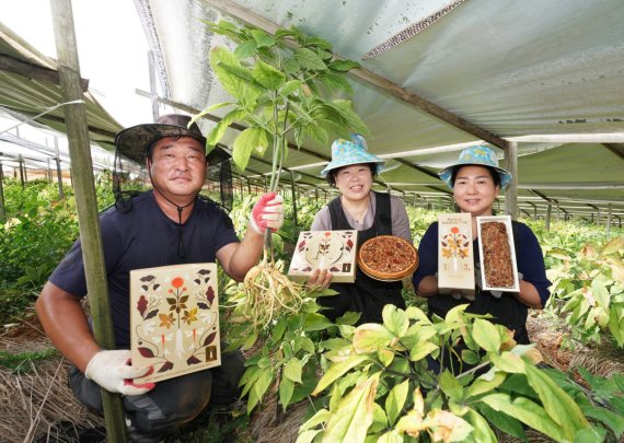 인삼 재배 농가의 농부들이 풍기인삼을 활용한 파리바게뜨 제품을 소개하고 있다.