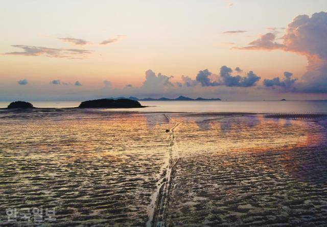 만돌마을 서해안바람공원에서 보는 고창갯벌 낙조. 대죽도 부근으로 해가 떨어지면 갯벌도 하늘만큼 붉게 물든다.