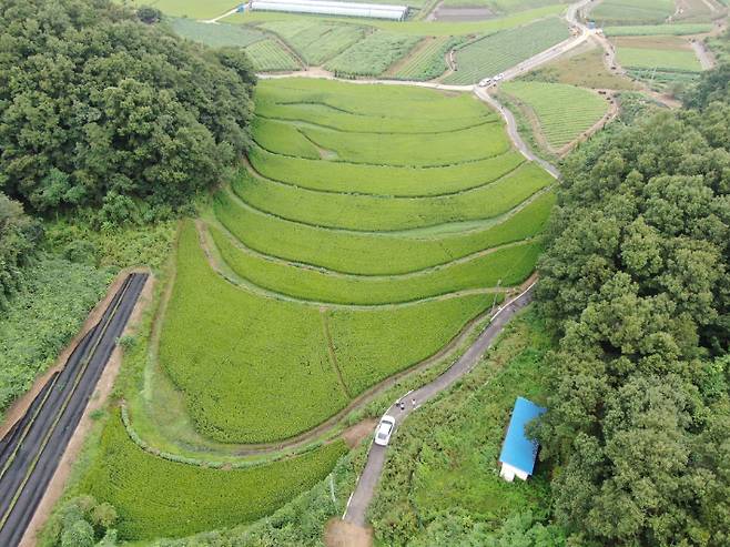 26일 세종시 전의면 신방리 일대 모습. 최근 국민권익위원회는 국민의힘 윤희숙 의원의 부친이 2016년 이 일대 논 1만871㎡를 사들였던 것과 관련해 농지법과 주민등록법을 위반한 것으로 판단했다. 연합뉴스