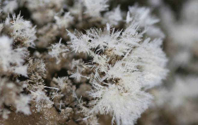 석화. 우경식 제공