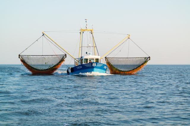 네덜란드 북동부 바덴 해에서 한 상업어선이 새우잡이를 하고 있다. (기사 내용과 관련 없습니다) 게티이미지뱅크