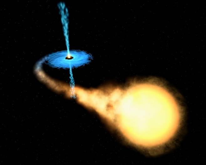 블랙홀 쌍성계 상상도. 쌍성 중 하나인 주계열성에서 흘러나온 물질이 다른 하나인 블랙홀의 주위에 강착원반을 형성하고 있다.(사진=위키피디아)