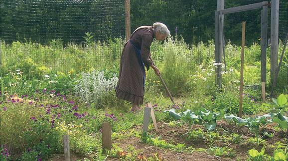 미국의 동화작가 타샤 튜더(1915~2008)는 정원을 가꾸며 자연주의적인 삶을 평생 산 ‘타샤 할머니’로도 유명하다. 다큐멘터리 <타샤 튜더>의 스틸컷