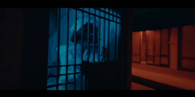 안예은의 첫번째 호러송 ‘능소화’ 뮤직비디오 . 유튜브 캡처