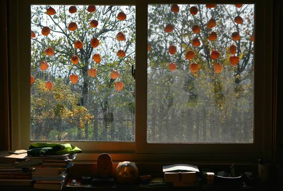 어느 늦은 가을날 박남준 시인의 부엌 마루에서 내다본 바깥 풍경.