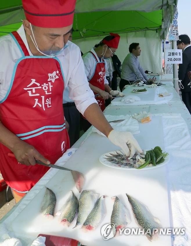 2016년 부산 고등어축제 [연합뉴스 자료사진]