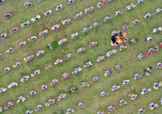 On the morning of August 5, a Sunday nearly two weeks before the Chuseok holiday, citizens visit their ancestral graves early concerned about possible restrictions due to COVID-19 and crowds during the Chuseok holiday at the Mangwol Metropolitan Cemetery in Buk-gu, Gwangju. Yonhap News