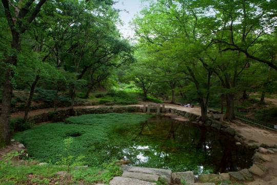 백석동천