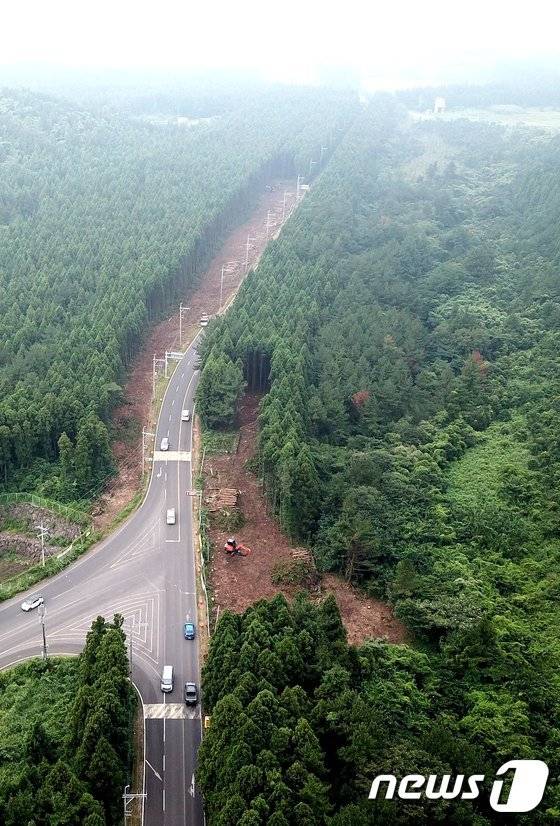 제주시 구좌읍 비자림로 확·포장 공사현장. 2018.8.9/뉴스1