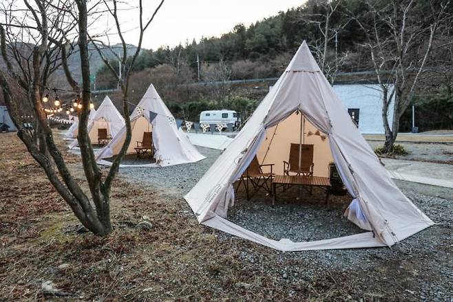 선인장호스텔 블로그