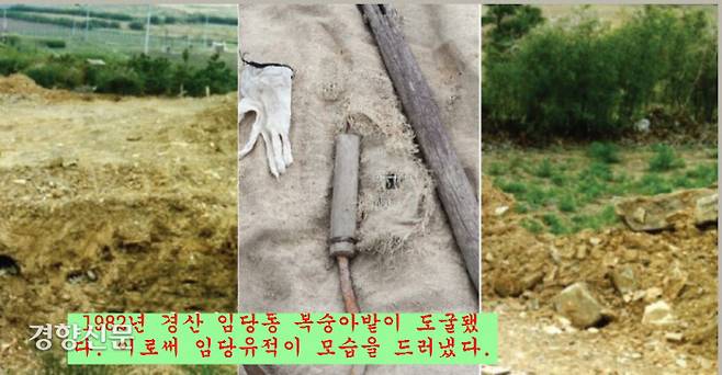 임당유적은 1982년 1월14일 해외 밀반출 되려던 유물이 부산세관에 의해 극적으로 적발되면서  모습을 드러낸다. 이때 은제 새날개형관장식과 순금제귀고리, 금은제 고리자루큰칼, 은제 허리띠 등 15점이 압수됐다. 이 유물은 경북 경산 임당동의 구릉에 조성된 과수원(복숭아밭)에서 훔친 도굴품이었다.|영남대박물관 제공