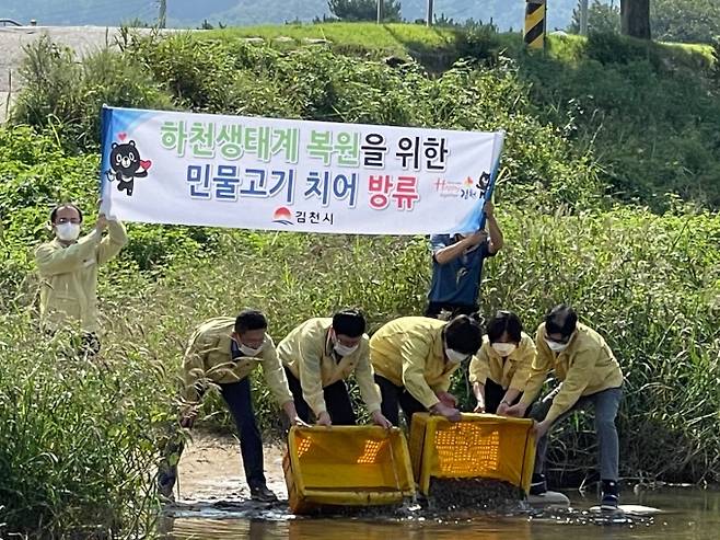 김천시는 지역 양식장에서 생산한 미꾸라지 5만 마리지를 가천과 직지천에 방류했다. (김천시 제공) 2021.09.09