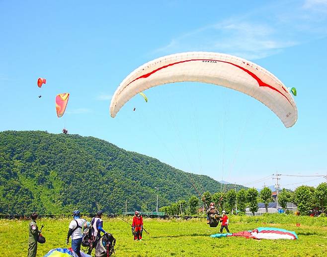 충북교육청 제공