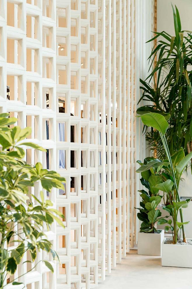 마시모두띠 롯데백화점 동탄점의 '격자 구조의 벽과 가든 디자인'.© 뉴스1