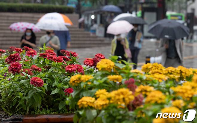 수도권 중심으로 비가 내리는 31일 오후 서울 중구 청계광장에서 우산을 쓴 시민들이 발걸음을 재촉하고 있다. 2021.8.31/뉴스1 © News1 이재명 기자