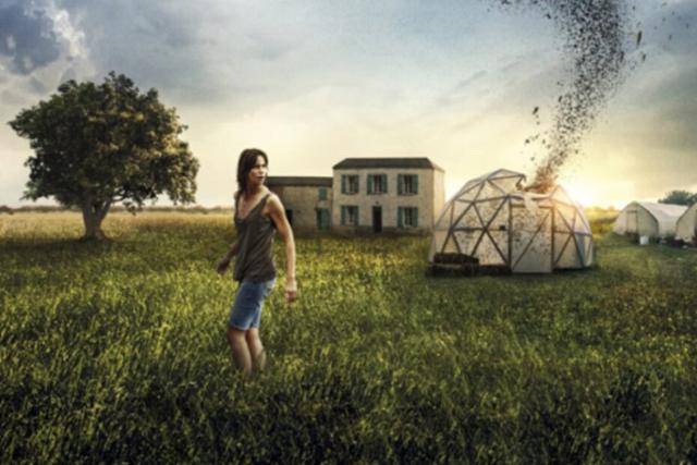 넷플릭스 '더 스웜'은 식용 메뚜기 사육을 시작한 싱글맘 비르지니의 이야기다. 넷플릭스 제공