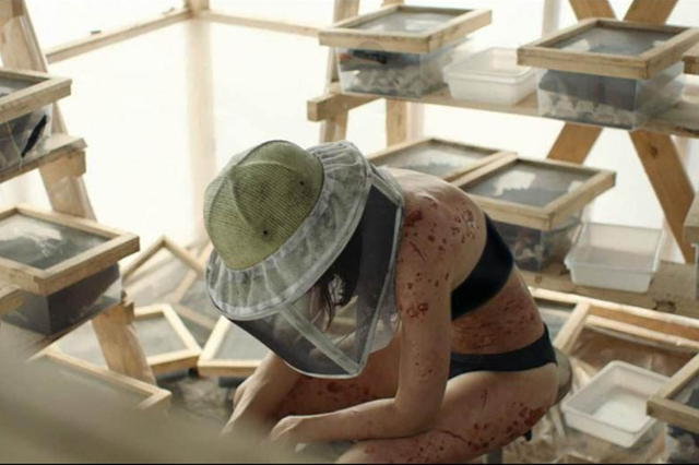 우연찮게 피를 마신 메뚜기들의 생장이 활발해지는 것을 본 비르지니는 혈액을 구해 메뚜기에게 주기 시작한다. IMDb 제공