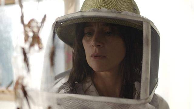 '더 스웜'은 비르지니 가족의 삶이 어떻게 흘러가는지에 집중한다. IMDb 제공