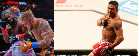 제이크 폴과 비토 벨포트(사진=트위터 및 UFC)