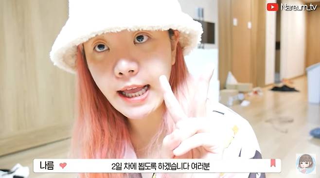 /사진=나름 유튜브 채널