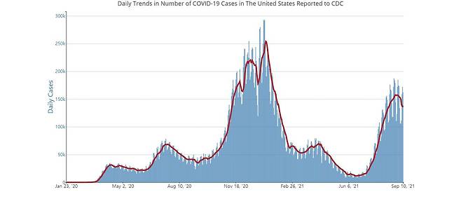 미국의 코로나 확진자 추이. /자료=미 질병예방통제센터.