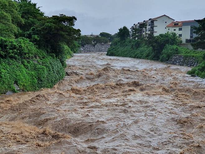 제14호 태풍 ‘찬투’의 영향으로 한라산에 폭우가 쏟아지면서 14일 오전 평소 마른 하천이던 제주시 오라동주민센터 인근 한천에 빗물이 맹렬한 기세로 흐르고 있다. 허호준 기자