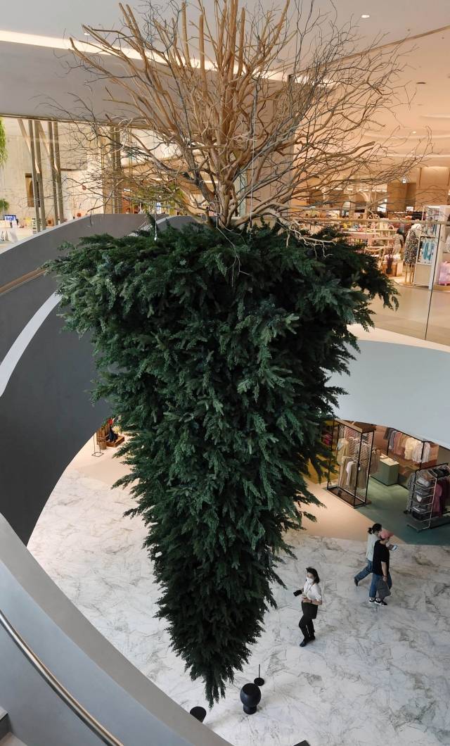 롯데백화점 동탄점은 전체가 하나의 갤러리처럼 꾸며졌다. 세계적 예술가 데이비드 호크니부터 국내외 유명 작가들까지 100점이 넘는 작품들을 만날 수 있다. 사진은 임정주 작가의 거꾸로 된 나무 '논엘로퀀트(noneloquent) 시리즈'.