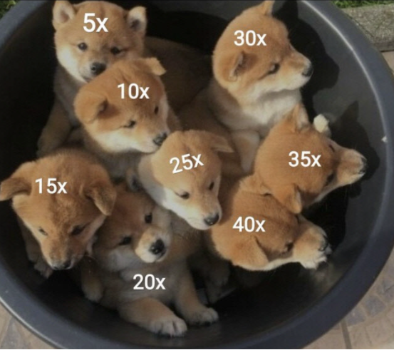 사진 = 트위터 캡처