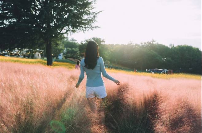 관람객들이 이월드 플라워가든에서 핑크뮬리를 배경으로 인생 샷을 찍고 있다. (이월드 제공) 2021.09.15