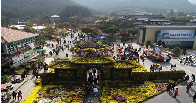 국화축제 장면 [영암군 제공·재판매 및 DB 금지]