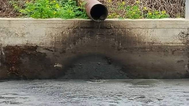 뉴시스 DB. *재판매 및 DB 금지