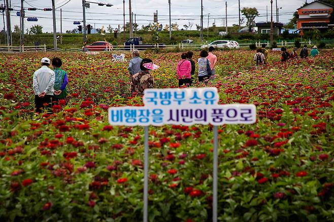 제천비행장에 핀 백일홍. 시가 꽃밭을 조성하기 위해서는 국방부의 허가를 받아야 한다 ⓒ시사IN 조남진