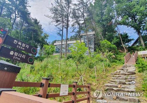 순창군 출렁다리 옆 카페에 놓인 산책로 [연합뉴스 자료사진]