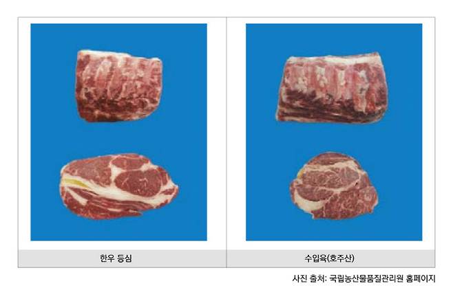 ▲국산 한우 등심(왼쪽)과 호주산 소고기 등심 부위를 비교한 모습.(사진=국립농산물품질관리원)