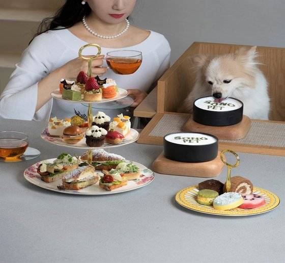 소노펫클럽앤리조트 고양_펫프터눈 티 세트